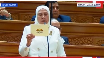 النائبة سهير القاضي    