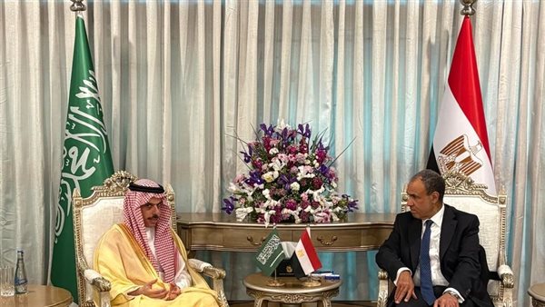 وزيرا خارجية مصر والسعودية    