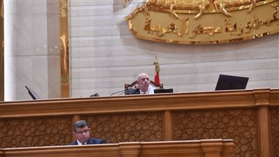 مجلس النواب    