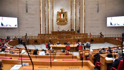 مجلس النواب    