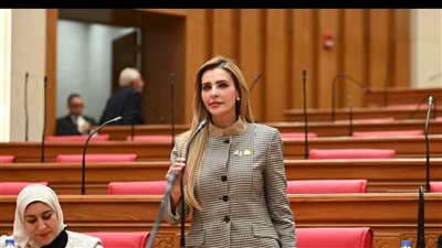  النائبة مروة بوريص    