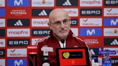 مدرب إسبانيا    