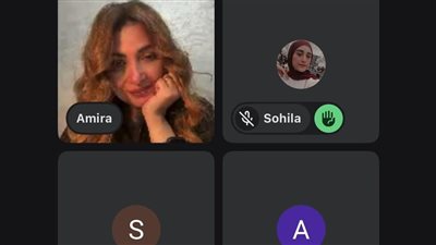 النائبة أميرة العادلي    