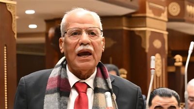 النائب محمد ابو العلا عضو مجلس الشيوخ رئيس الحزب الناصري    