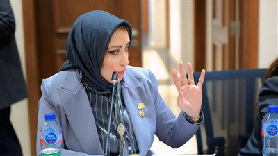 النائبة أماني أبو اليزيد، عضو مجلس النواب    