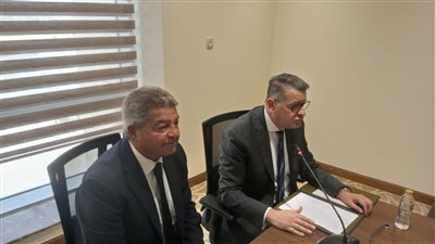 لجنة حقوق الإنسان بمجلس النواب    