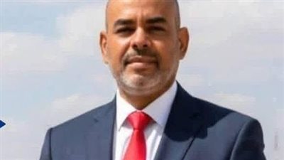 النائب محمد أبو الخير    