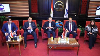 حزب مستقبل وطن    