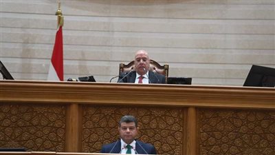 الجلسة العامة لمجلس النواب    