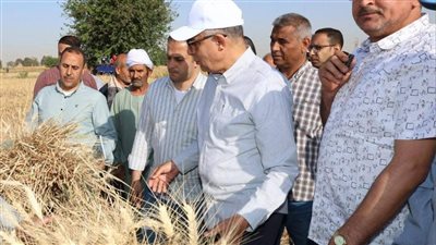 اللواء عماد كدواني، محافظ المنيا