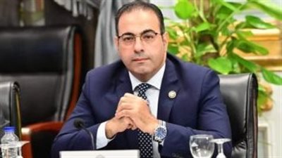 الدكتور محمود حسين، رئيس اتحاد شباب المصريين بالخارج    