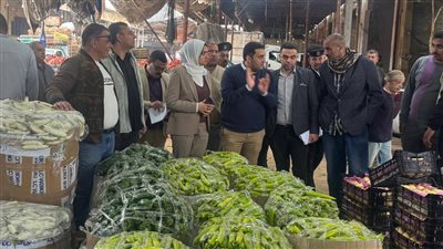 محافظ القليوبية يقود حملات ضبط الأسواق ويتفقد التأمين الصحي 