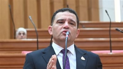 النائب امير الجزار     