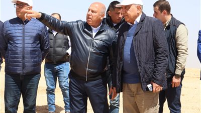 وزير الكهرباء 