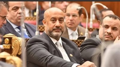 النائب حسام سعيد عبد الفتاح    