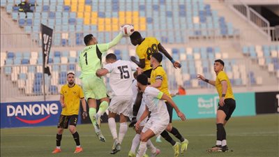 الكهرباء وبتروجيت    