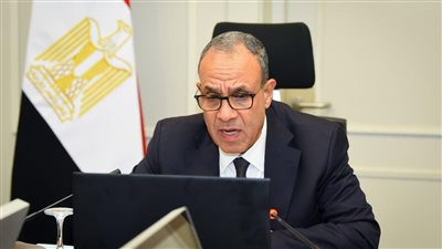 وزيرالخارجية بدر عبد العاطي    