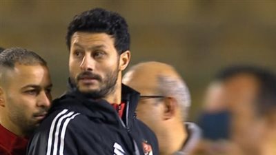 محمد الشناوي    