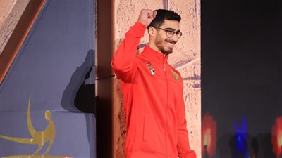 محمد عفيفي: فضية كأس العالم للجمباز الفني خطوة مهمة في مشوار    