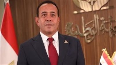  النائب محمد شعيب، عضو مجلس الشيوخ    