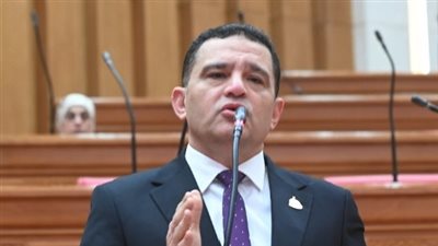 أمير الجزار     