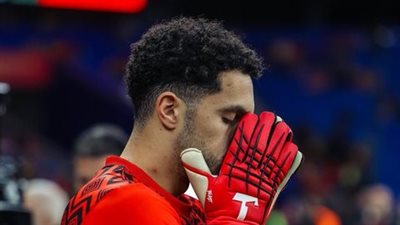 مصطفى شوبير    