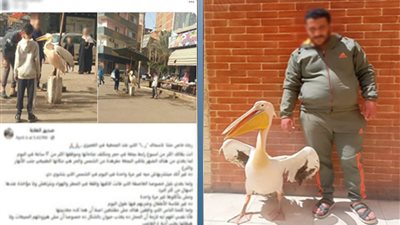 بجعة أمام محل    