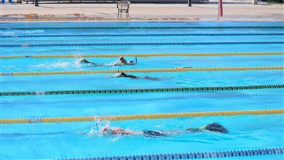 تدريبات بطولة العالم للاساتذة للسباحة بالزعانف 2026 بشرم الش    