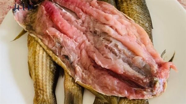 سعر الرنجه اليوم     