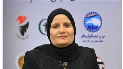 النائبة عبير نصار    