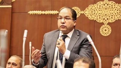  النائب عادل اللمعي    