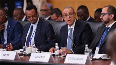 بدر عبد العاطي خلال الاجتماع