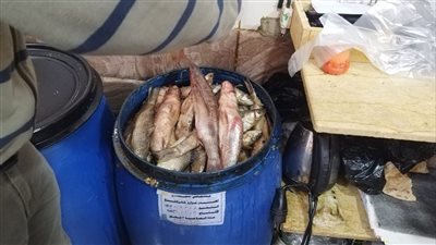 جانب من المضبوطات