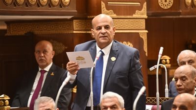 النائب أحمد فاروق الجهمي    