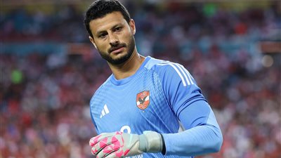 محمد الشناوي    