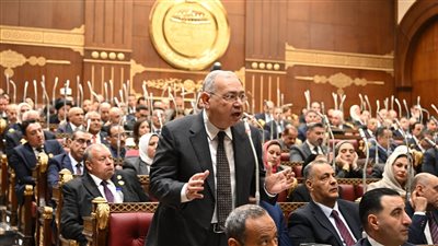 الدكتور عصام خليل، عضو مجلس الشيوخ ورئيس الحزب    