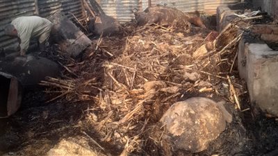 جانب من الحريق    