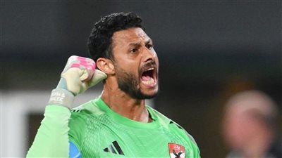 محمد الشناوي    