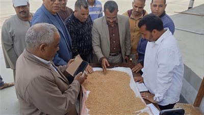 محافظ المنيا يعلن استلام أكثر من 9 ألف طن قمح
