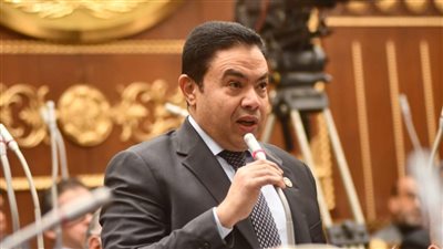  النائب إسماعيل الشرقاوي    