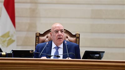 المستشار هشام بدوي    