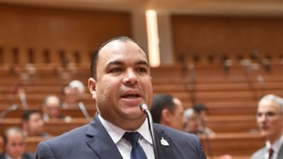 النائب أحمد عصام     