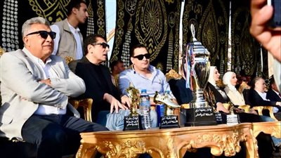 وزير الرياضة ومحافظ الدقهلية يشهدان نهائي دورة منشأة عبدالرح    