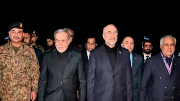 الوفد الإيراني - ارشيفية    