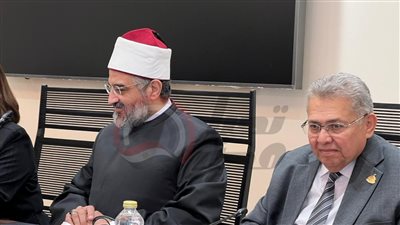 النائب عمرو الورداني    