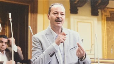 النائب حسين غيته، عضو مجلس النواب     