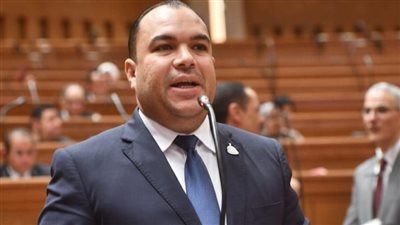 النائب أحمد عصام     