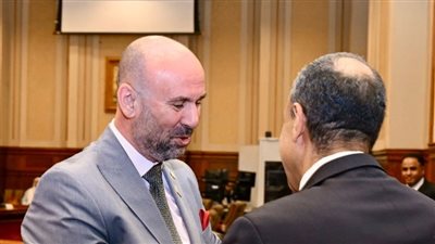 النائب باسم كامل    