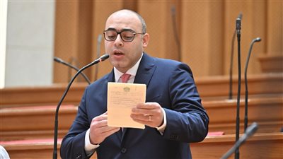 احمد علاء فايد    