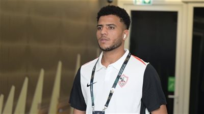 أحمد ربيع    